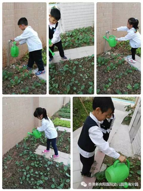 QQ圖片20170509150400.jpg QQ圖片20170509150400.jpg